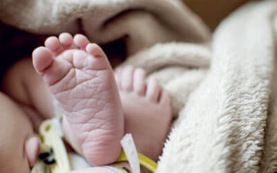 Gianburrasca per i più piccoli